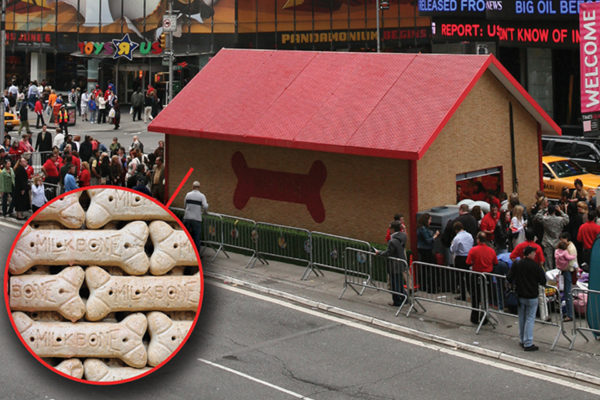 Dog House